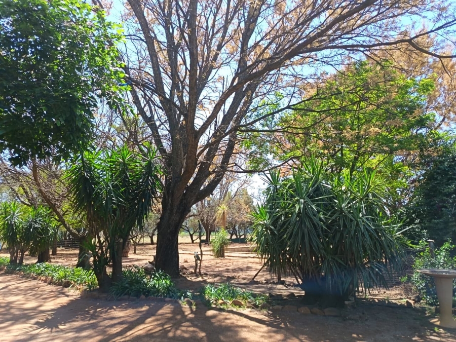 Commercial Property for Sale in Grootfontein North West